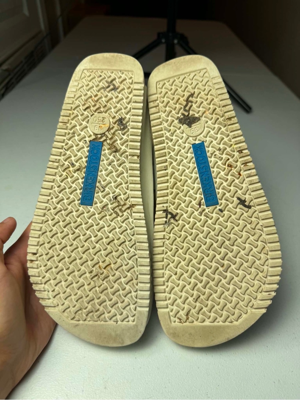 SOLD SOLD SOLD 🚩🚩🚩 NOT AVAILABLE - Picture 10 of 16